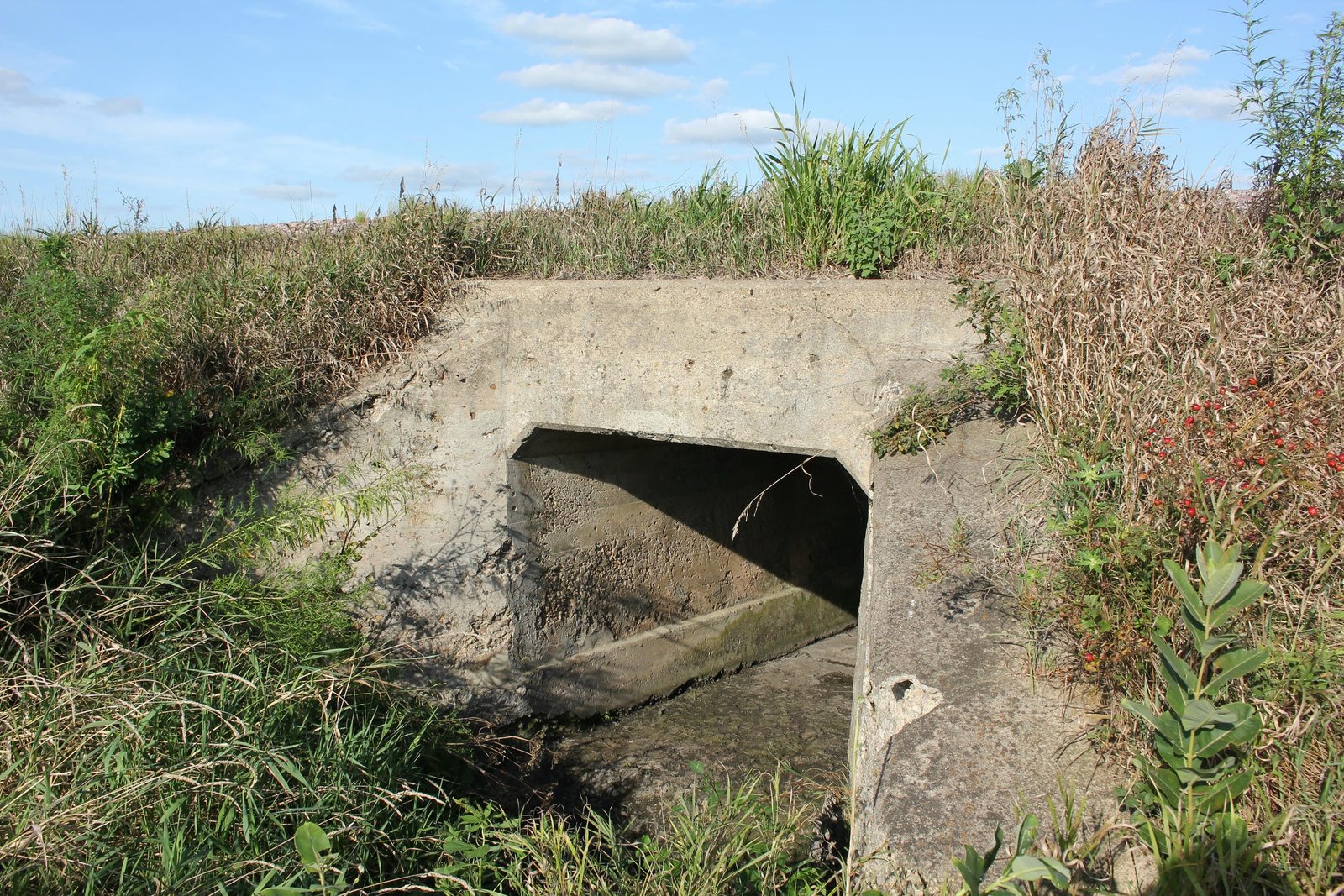 Overview